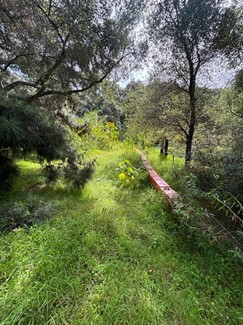 wildernesspark3